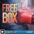 Freebox 13